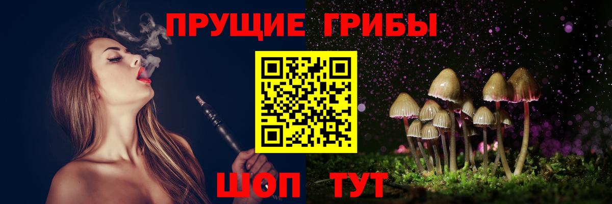 Ревда  Псилоцибиновые грибы Psilocybe  Вход с VPN  Псилоцибиновые грибы мухоморы 